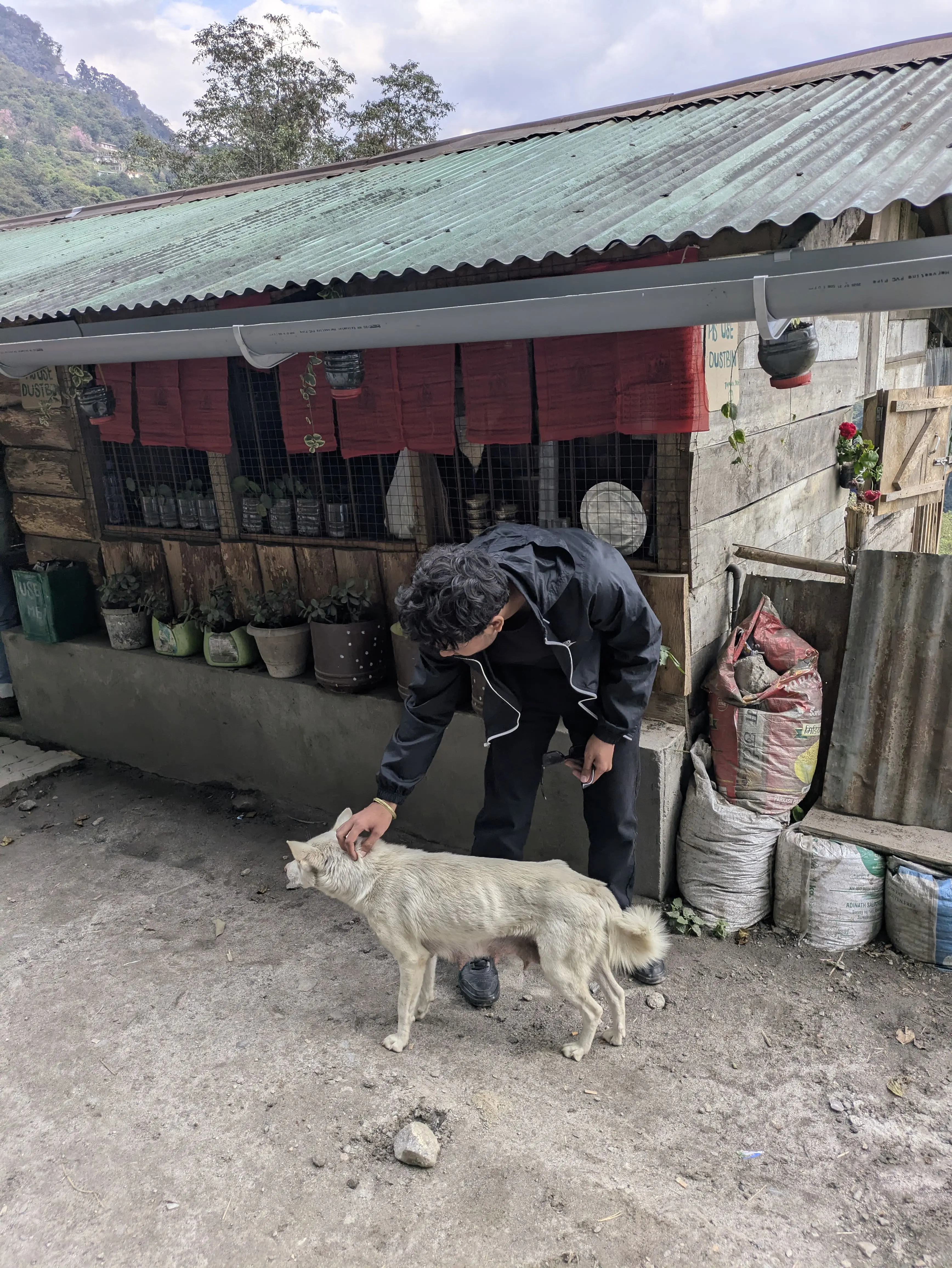 Aman stopping to pet a white dog outside a tin-roofed shop in the hills.